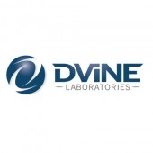 Dvine Labs